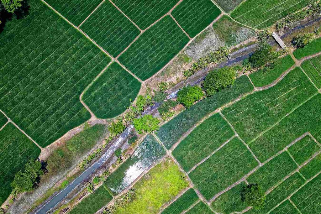 PM preso por crime ambiental tem habeas corpus negado