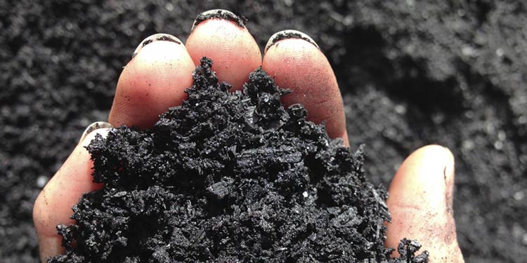 Resíduos de restaurante da UFMG são transformados em biocarvão ativado