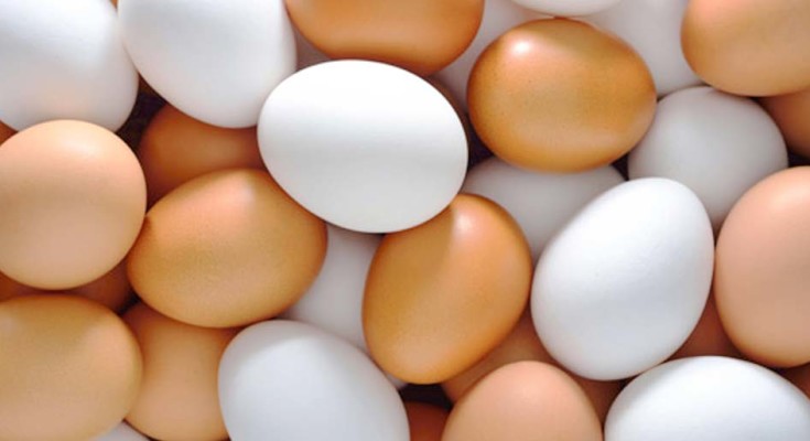 Preços dos ovos recuam 7,3% na semana puxados pelas carnes